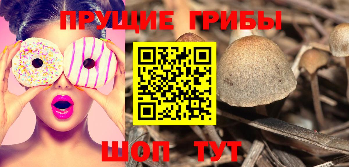Псилоцибиновые грибы ЛСД Кыштым